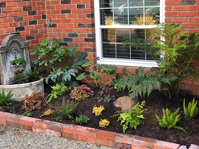 Transform your backyard with our expert garden landscape design, featuring a stunning perennial shade garden and a repurposed fountain turned planter by Urban Garden Studio.