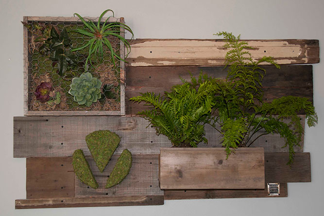 Elevate your interior decor with a custom logo wrapped in preserved moss and incorporated into a stunning living wall featuring an array of lush greenery, including succulents and ferns by Urban Garden Studio Elevate your local company's branding with a unique and eco-friendly custom sign made from reclaimed wood, preserved moss, and a hand-painted logo. Our visually striking design is sure to make a lasting impression on customers and enhance the rustic charm of your space by Urban Garden Studio