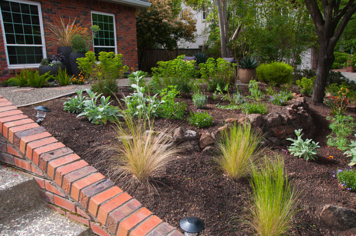 Experience the best in sustainable landscaping with our professional garden landscape design services, showcasing the natural beauty of drought-tolerant perennial and native plants, brought to you by Urban Garden Studio.