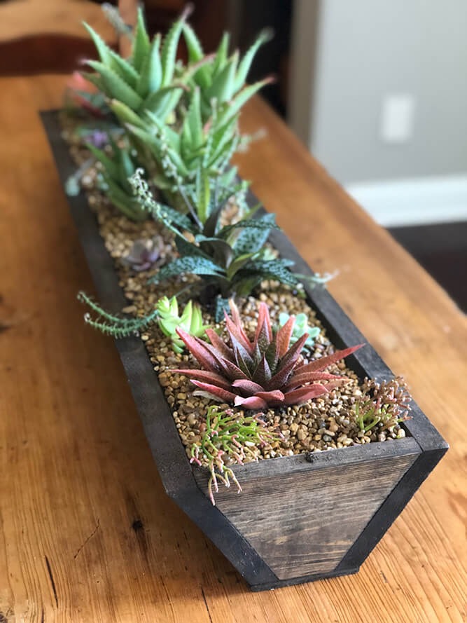 Our custom rustic planters featuring our trough planter handcrafted from reclaimed wood, and succulents by Urban Garden Studio.