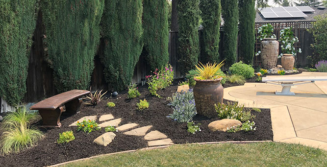 Experience the best in sustainable landscaping with our professional design services, showcasing the natural beauty of drought-tolerant and native plants, brought to you by Urban Garden Studio.