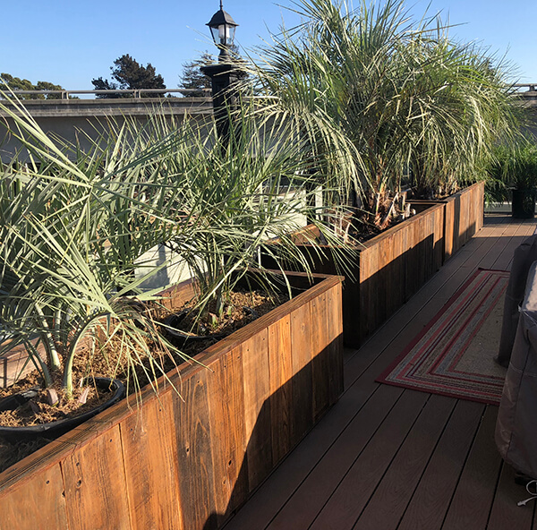 Custom large planters created with reclaimed wood. Customized to fit any space for home or office by Urban Garden Studio.