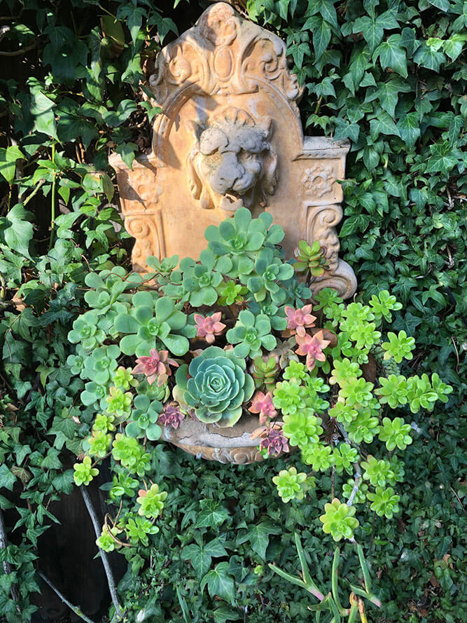 Transform your living space with our stunning repurposed planter, overflowing with lush succulents, exclusively created by Urban Garden Studio.