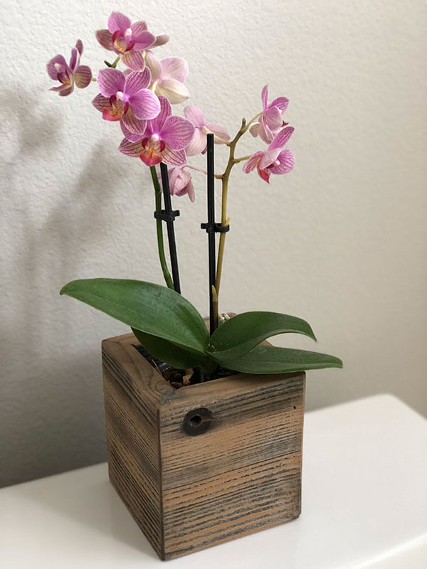 Custom barn wood planters with orchid by Urban Garden Studio Barn wood planters for special events. handcrafted in any size.