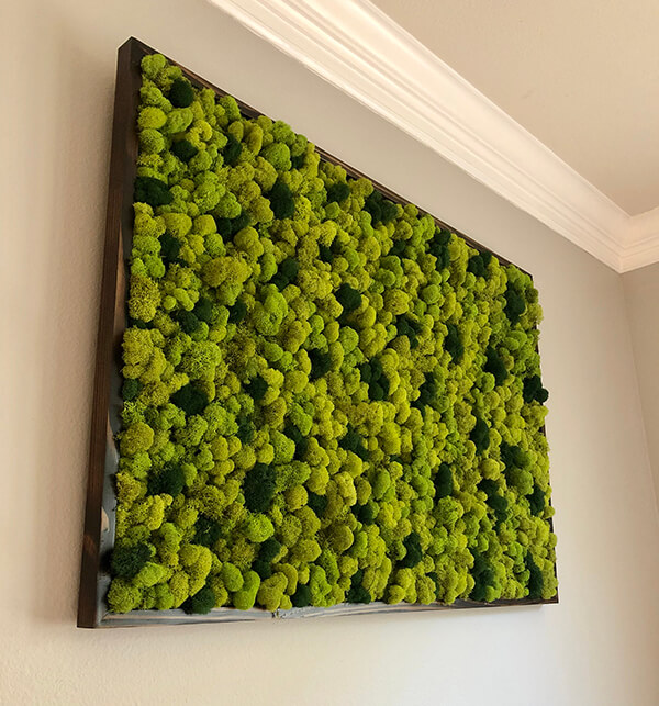 Preserved moss wall art utilizing a variety of preserved moss; different colored reindeer moss 