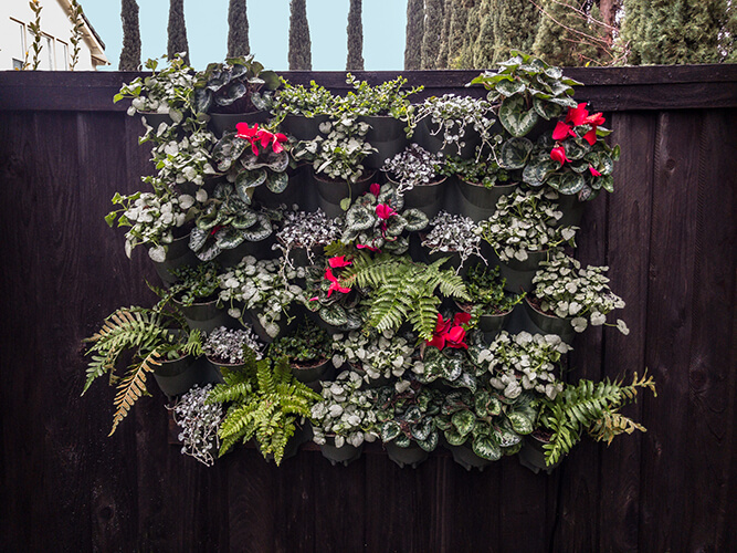 vertical wall garden, living art, moss vertical garden, vertical wall garden, ferns, reclaimed wood planter, landscape design, garden landscape design, outdoor green wall, green wall, urban garden studio