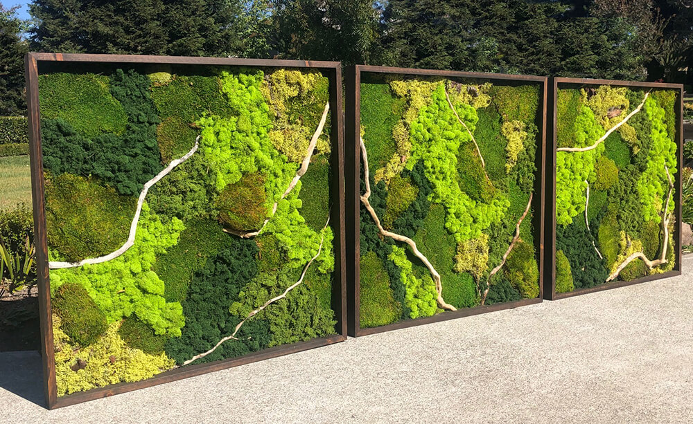 Preserved moss wall art utilizing a variety of preserved moss; cushion moss, mood moss and pool moss. For eco-friendly interiors