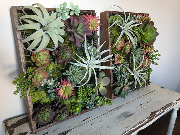 Framed succulent art filled with faux succulents and air plants and framed out in rustic wood. Creating a vertical succulent garden.
