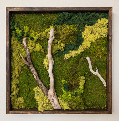 Preserved moss wall art utilizing faux a variety of preserved moss; cushion moss, mood moss and pool moss. For eco-friendly interiors