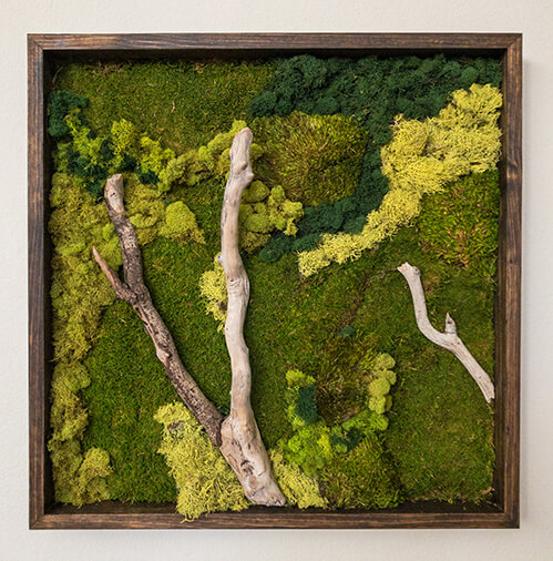 Moss Art Frame with Preserved Plants & Driftwood