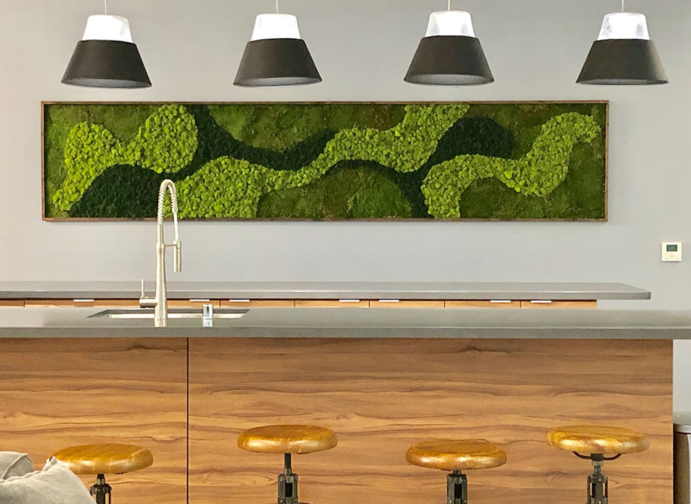 Moss Wall for Your Home, Custom Design