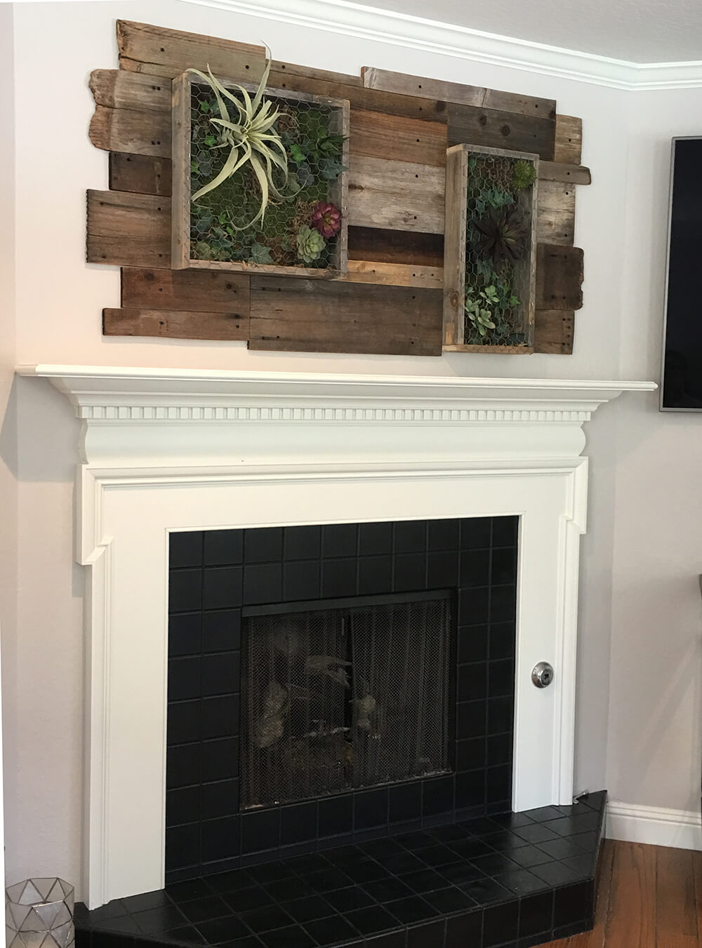 Indoor vertical wall garden created with reclaimed wood and framed succulent art. Creating a dynamic living wall.