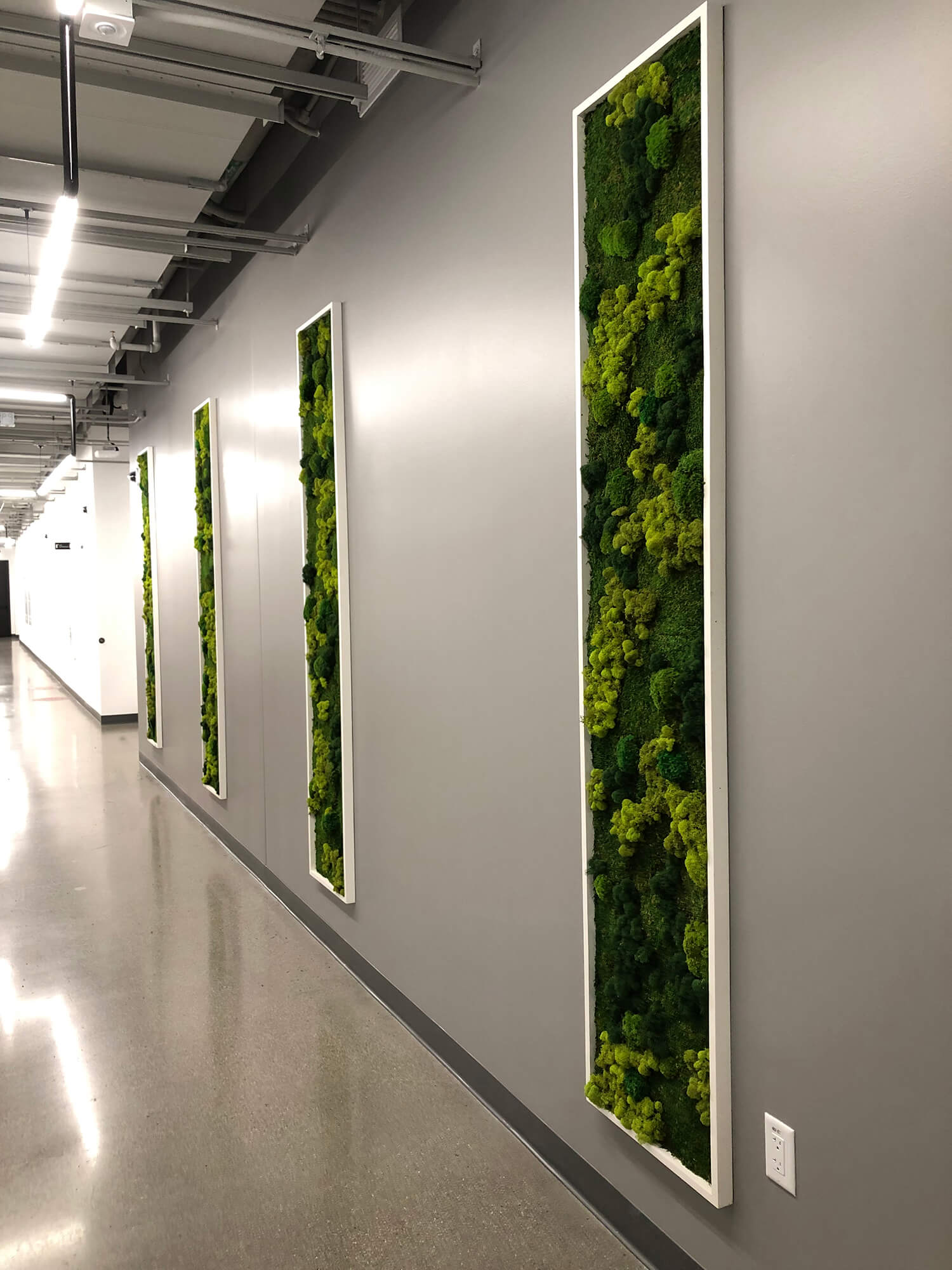 Living wall garden created with a variety of preserved moss; cushion moss, mood moss and pool moss. For eco-friendly interiors.