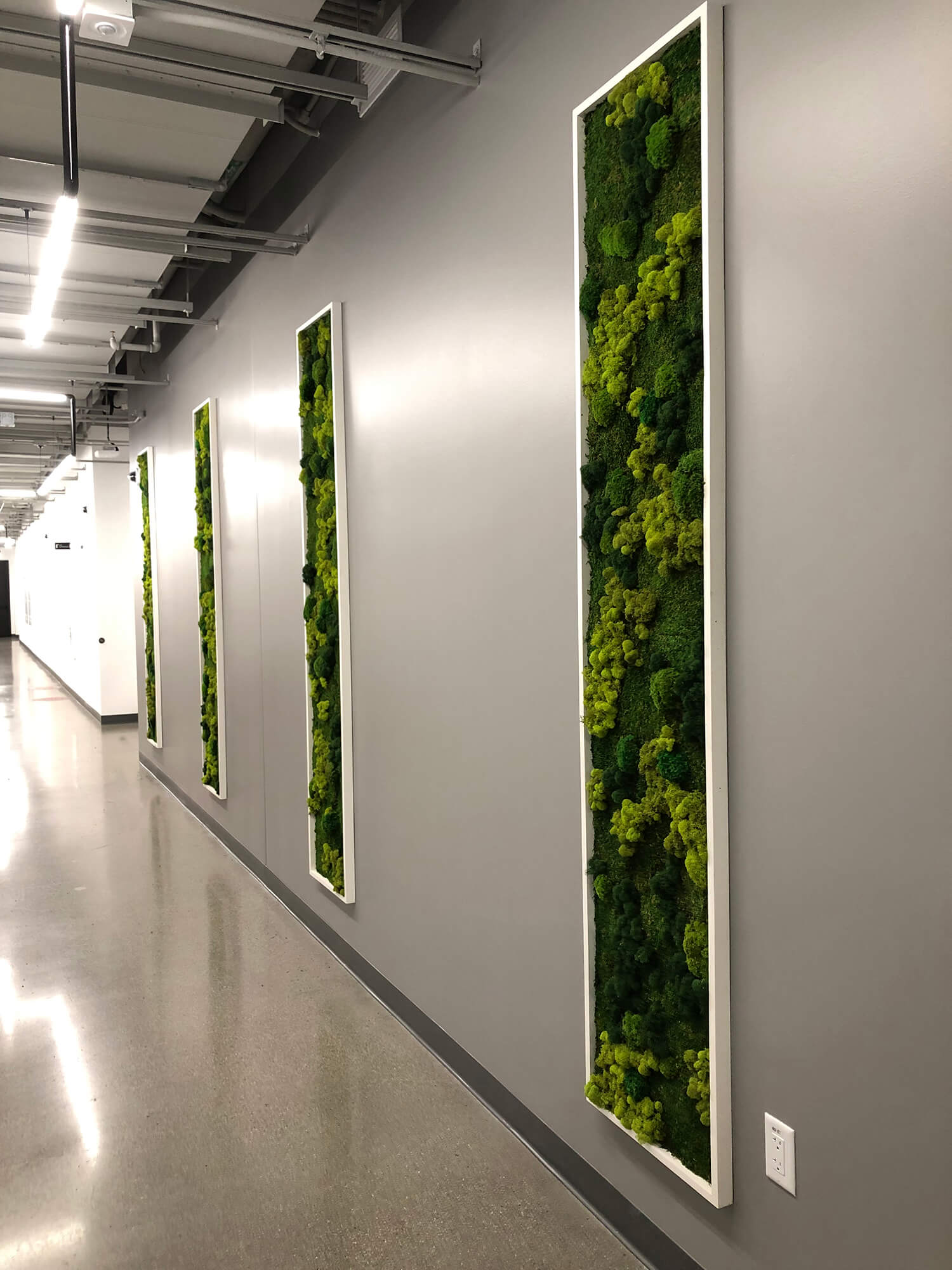 What do you know about Preserved Moss and Plant Walls? — Urbanstrong