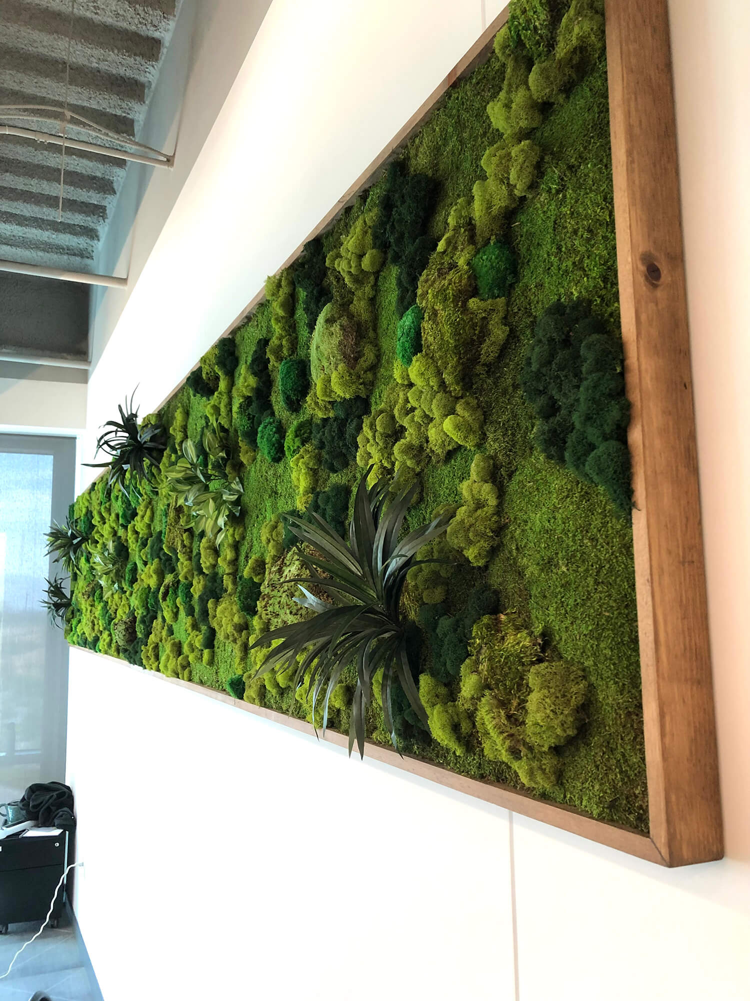 Moss wall art for residential or commercial settings, Created with preserved moss and plants. The perfect choice for anyone looking to bring the beauty of nature indoors.