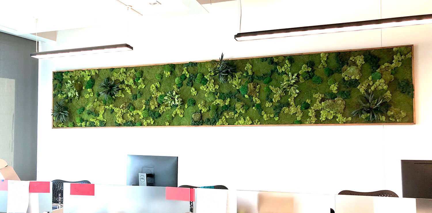 Large preserved living wall for office space. Created with preserved moss and faux plants. Framed with rustic wood.