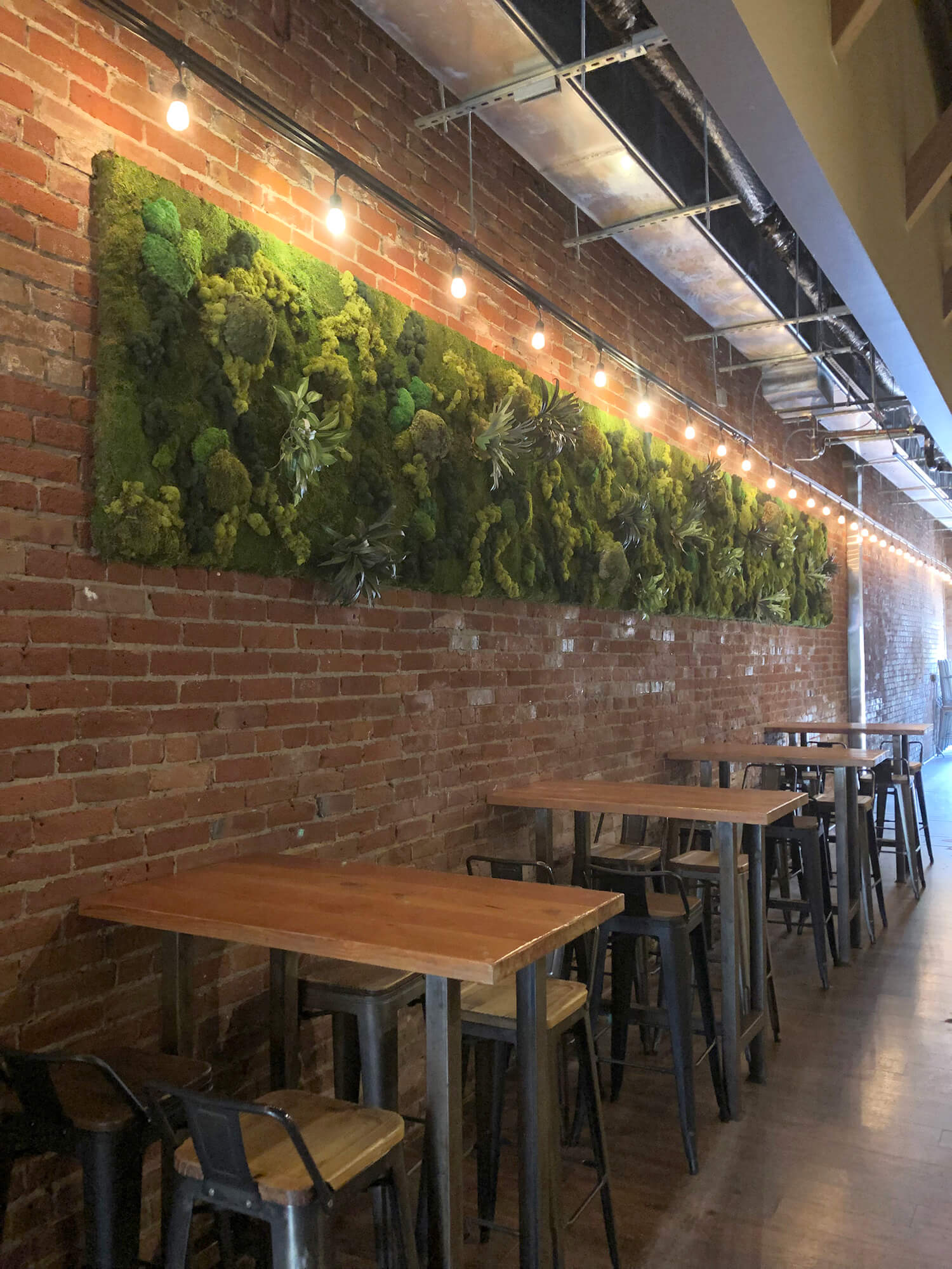 vertical preserved moss wall for restaurant created with stag horn ferns, preserved foliage, and various types of preserved moss