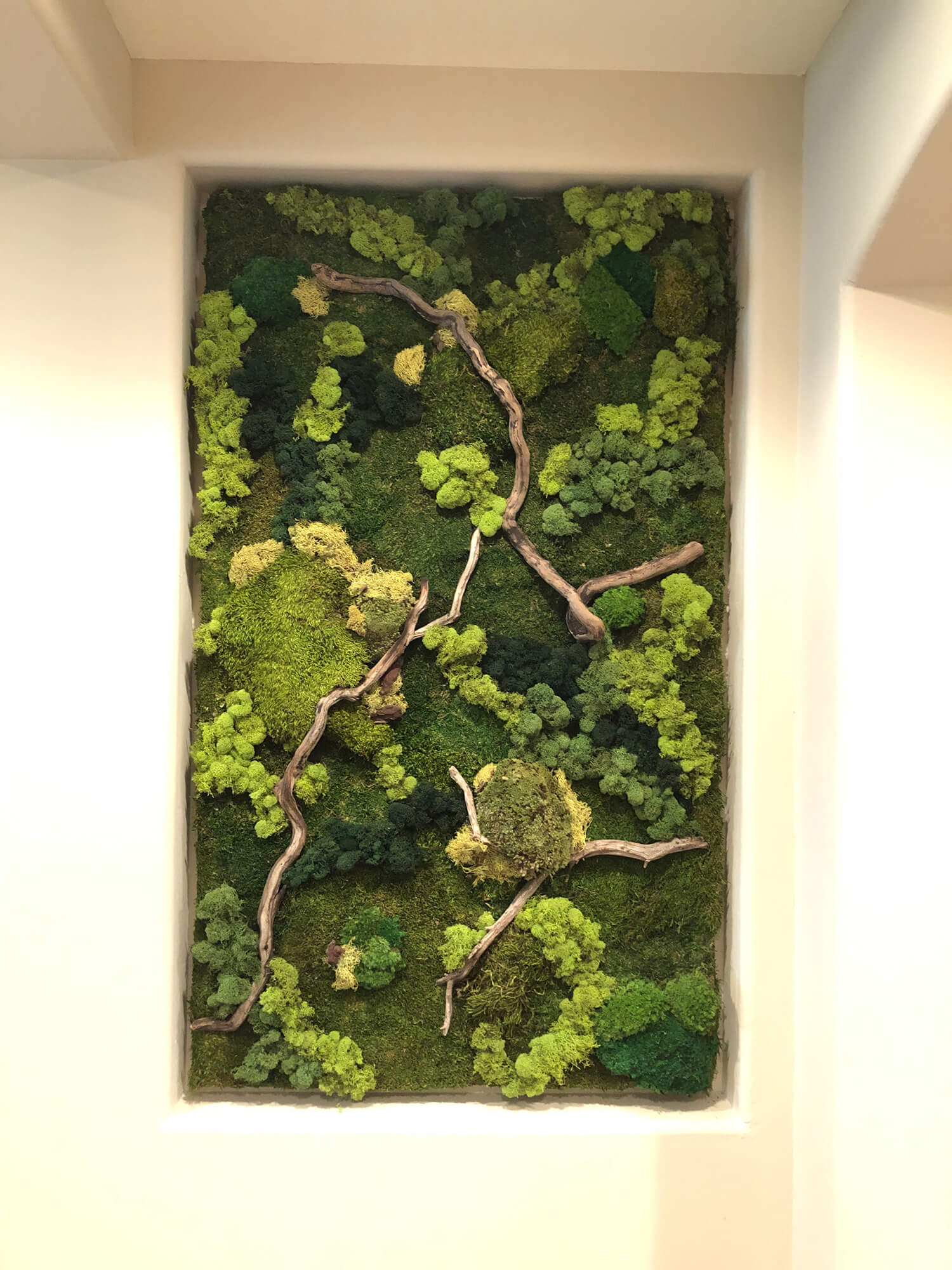 vertical wall garden created from various preserved moss intertwined with driftwood