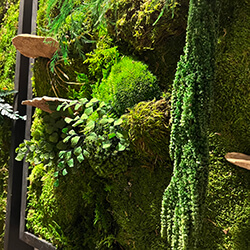 Preserved moss wall art created with preserved ferns, dried mushrooms, Amaranthus, and manzanita branches.