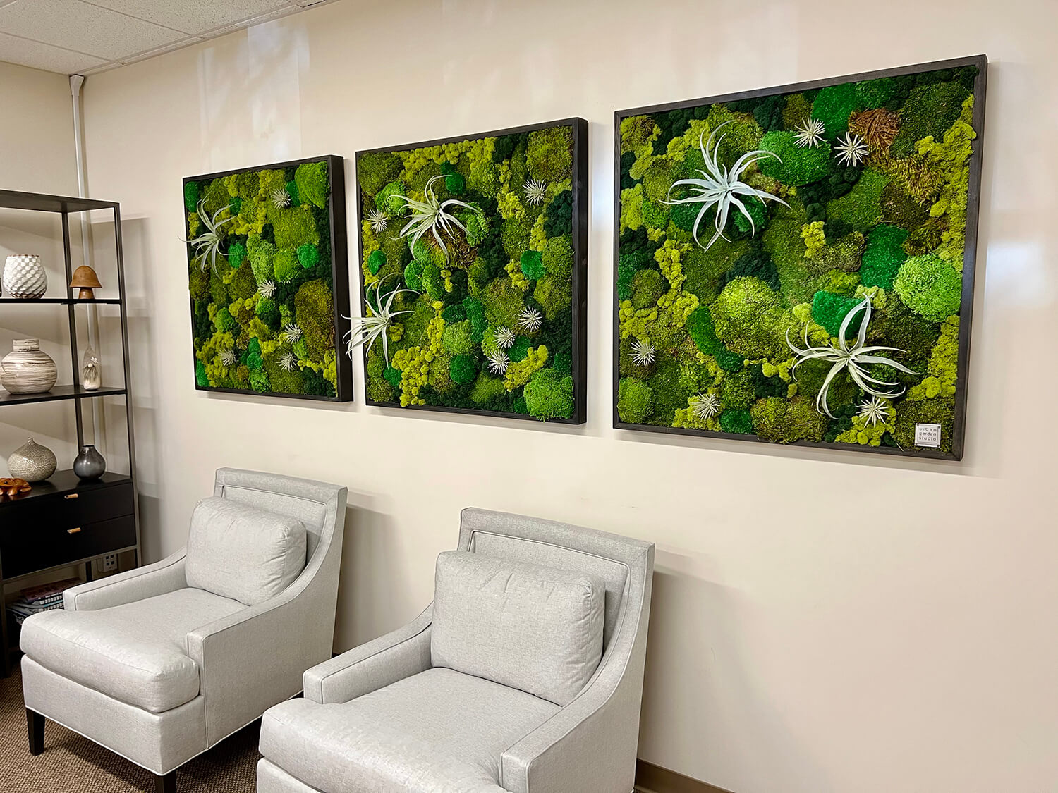 Preserved moss wall art utilizing faux air plants and a variety of preserved moss; cushion moss, mood moss and pool moss. For eco-friendly interiors