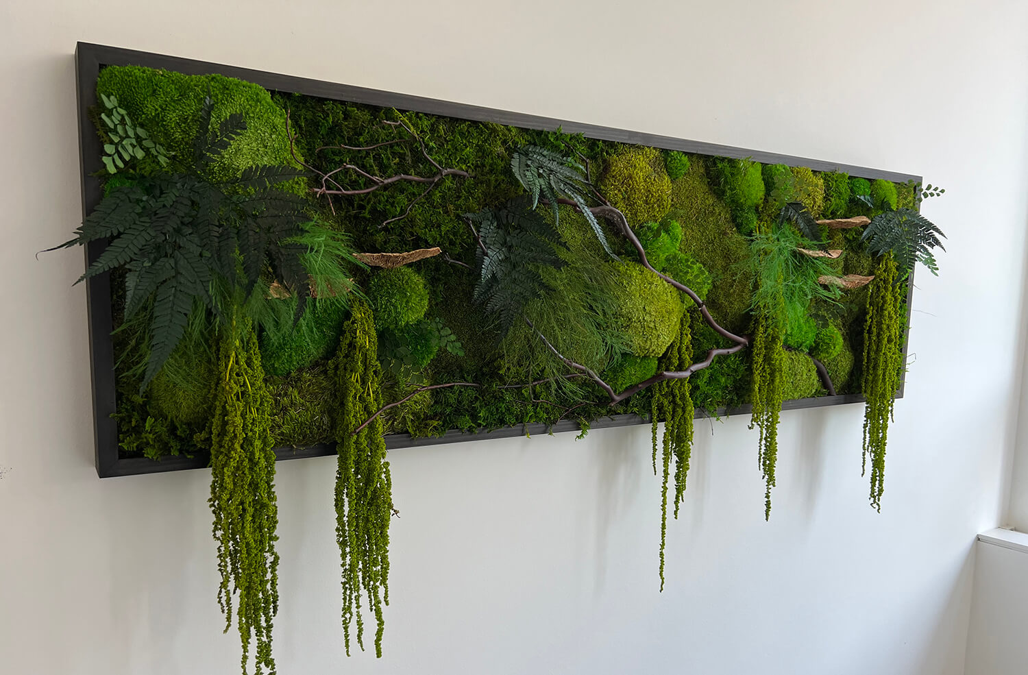 Preserved moss wall art created with preserved ferns, dried mushrooms and Amaranthus 