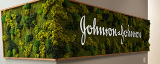 Corporate signage highlighted with a custom moss wall frame with logo by urban garden studio - Wall panels use a variety of preserved moss.