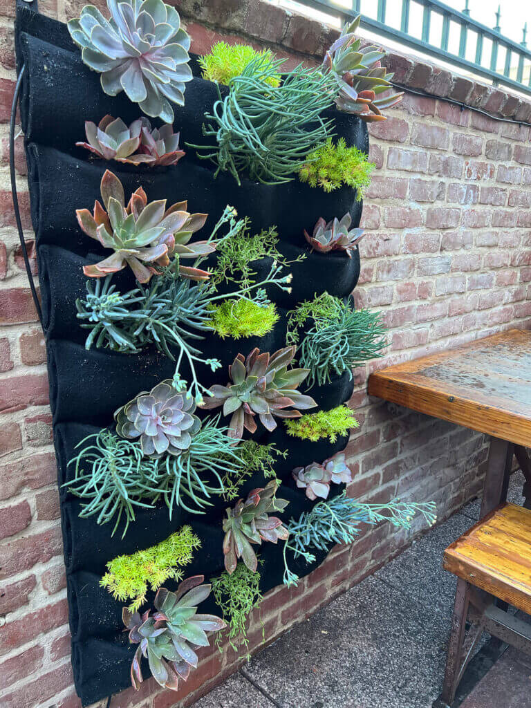 Elevate your outdoor patio with stunning vertical wall planters featuring vibrant succulents by Urban Garden Studio.