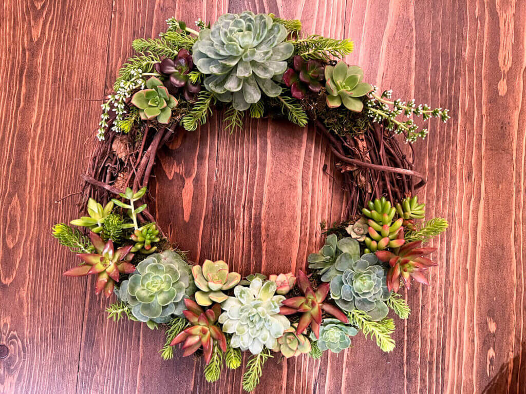Living wreath with assorted succulents - a natural and sustainable addition to your home decor by Urban Garden Studio.