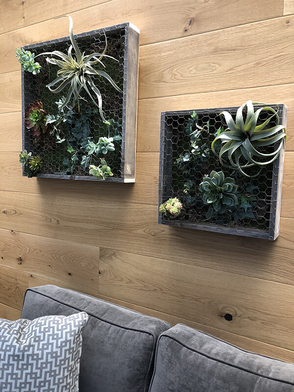 Reclaimed wood planters and succulent boxes add style to this office space by Urban Garden Studio We created a faux succulent wall for a corporate office space. Maintenance free!