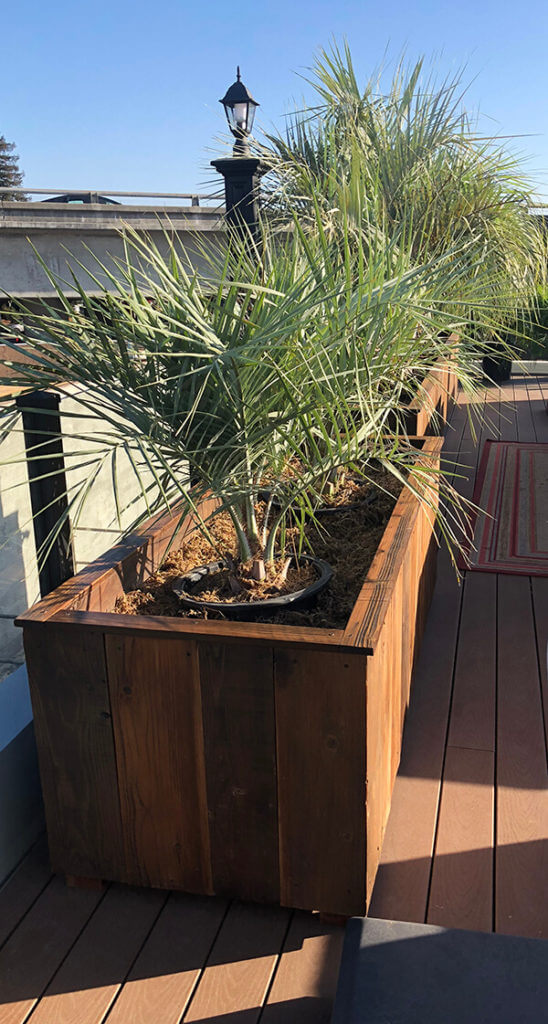 Custom large planters created with reclaimed wood. Customized to fit any space for home or office by Urban Garden Studio.
