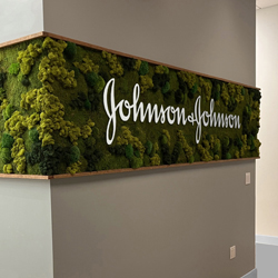 Corporate brand signage highlighted with a custom moss wall with logo by urban garden studio. Wall uses a variety of preserved mosses.