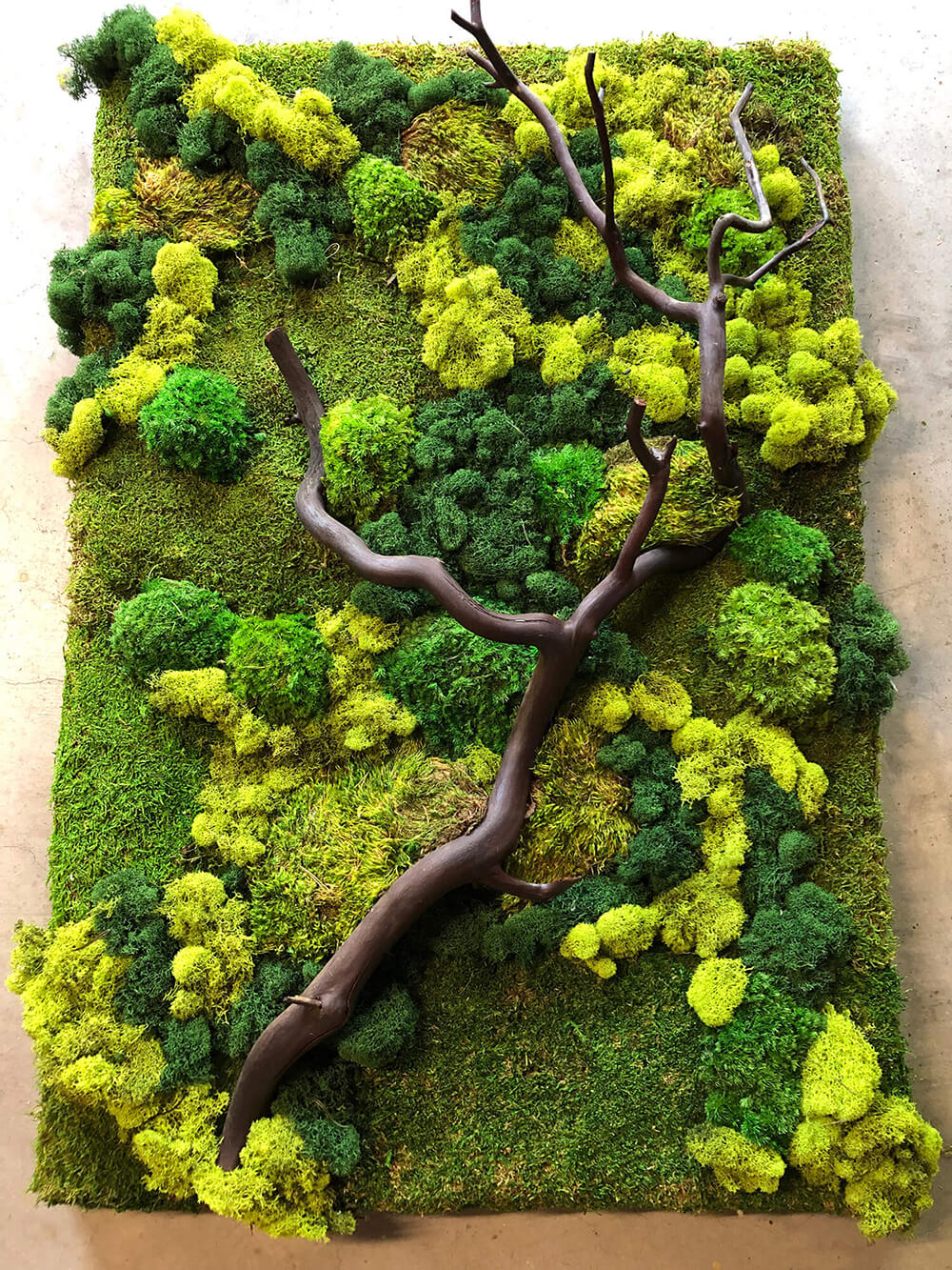 Stunning frameless moss wall art featuring reindeer moss, sheet moss, and cushion moss, expertly intertwined with a captivating manzanita branch by Urban Garden Studio.
