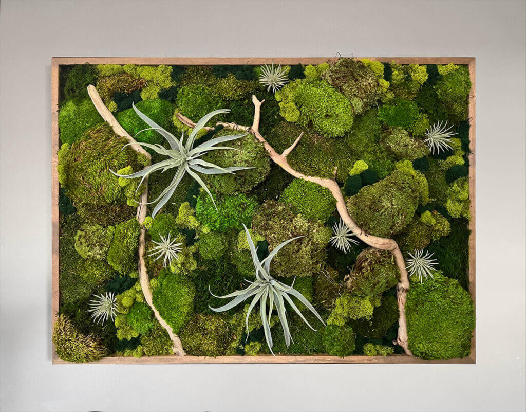 Moss wall art for residential or commercial settings, Created with preserved moss, faux air plants and Driftwood. The perfect choice for anyone looking to bring the beauty of nature indoors by Urban Garden Studio.