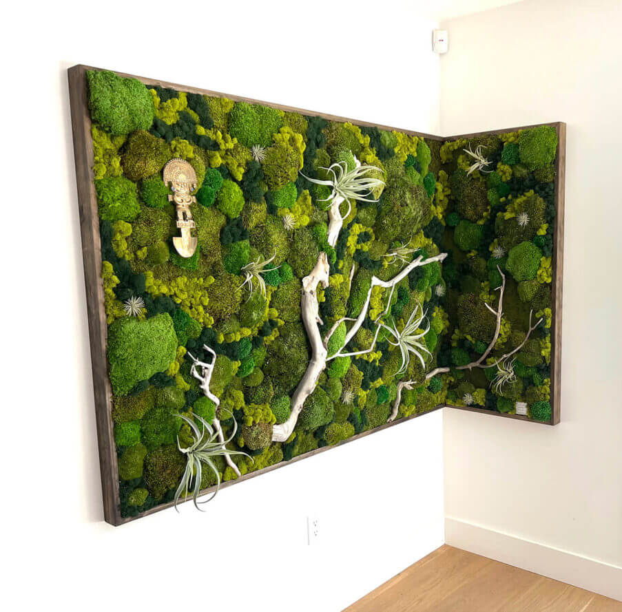 Preserved moss wall art utilizing driftwood, faux air plants and a variety of preserved mosses; cushion moss, mood moss and pool moss by Urban Garden Studio.