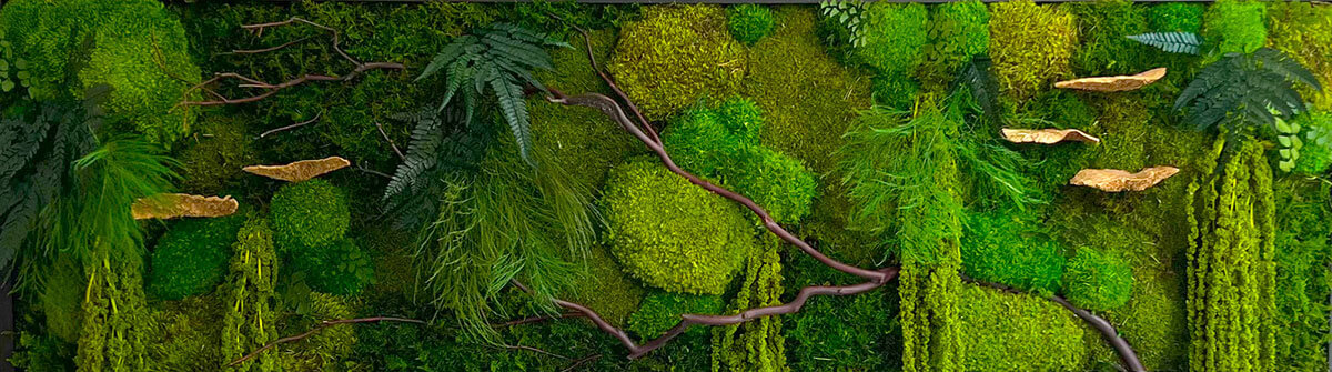 Preserved Moss Wall with Manzanita Branches and Mushrooms