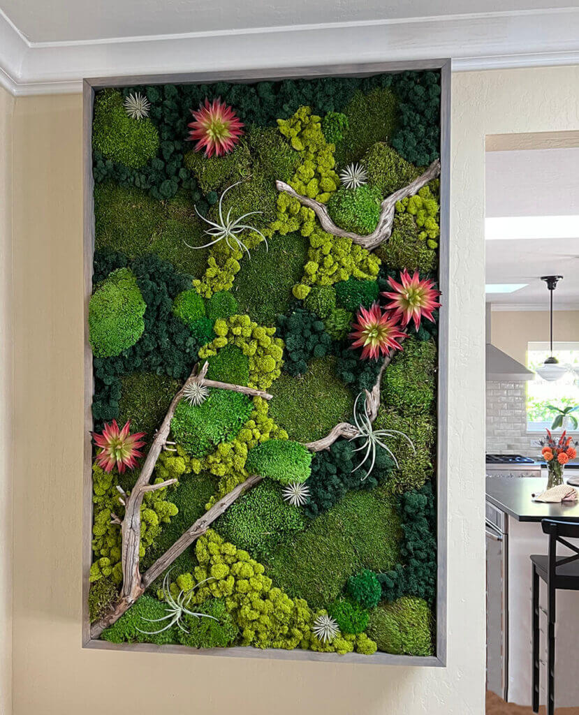 Living Wall Art Vertical Garden Frames by Airplantman