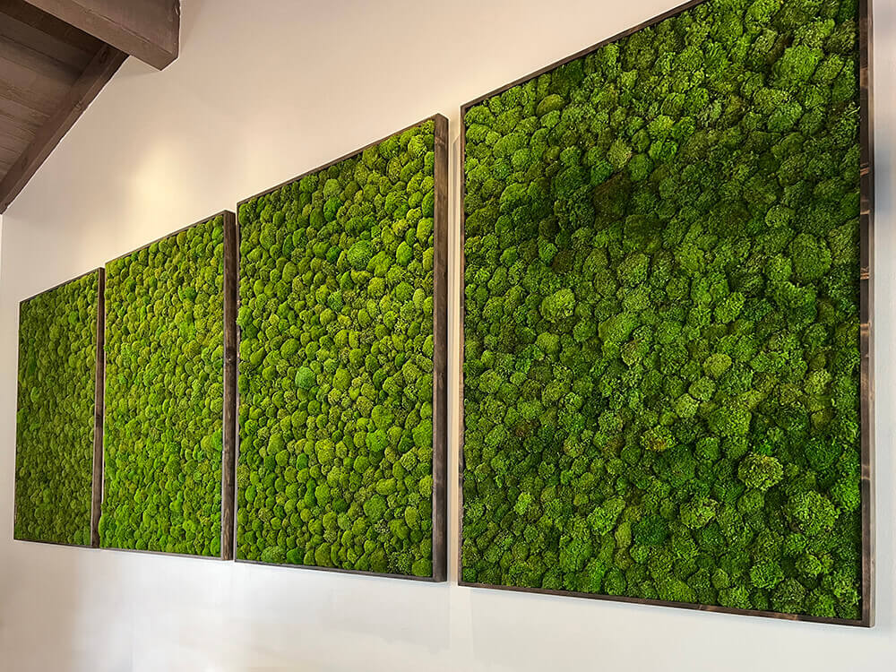 Moss wall panels comprised of cushion moss framed out in rustic wood for office space by Urban Garden Studio.