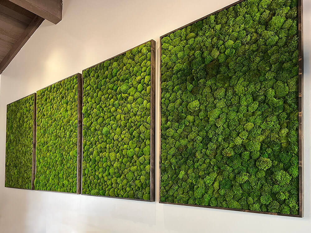 Elevate your space with our cushion moss wall art by Urban Garden Studio. Moss wall panels comprised of cushion moss framed out in rustic wood for office space by Urban Garden Studio.