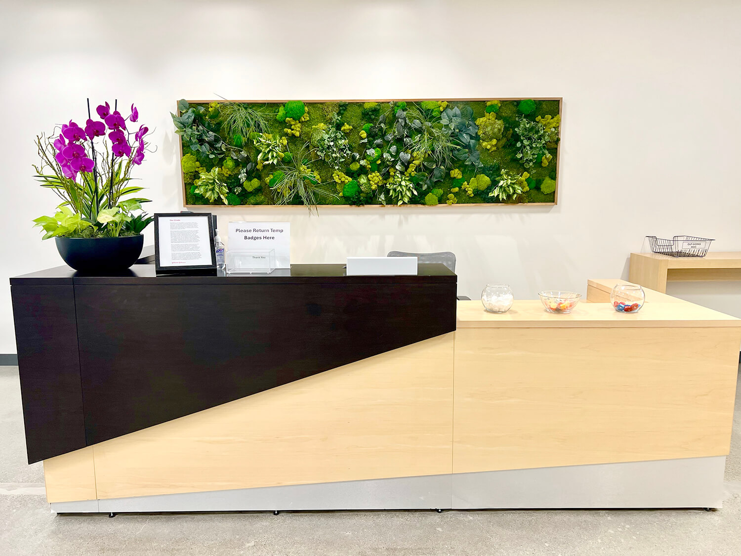 Moss wall installed on a vibrant mixed moss background with faux plants by Urban Garden Studio